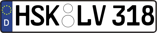 HSK-LV318