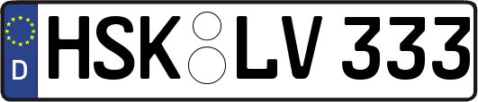 HSK-LV333