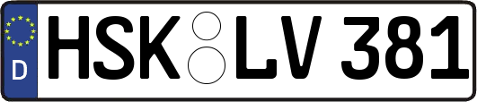 HSK-LV381