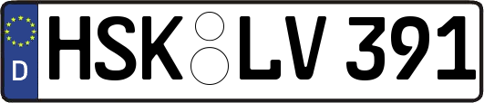 HSK-LV391