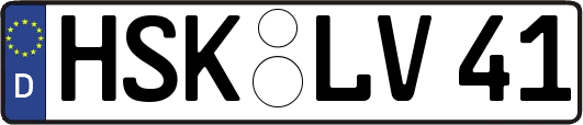HSK-LV41
