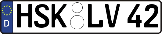 HSK-LV42