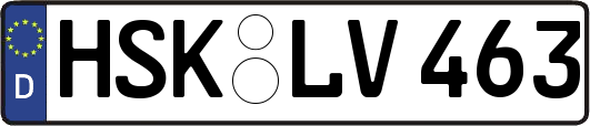 HSK-LV463