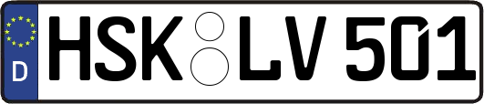 HSK-LV501