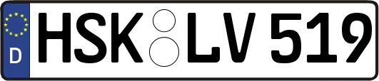 HSK-LV519