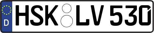 HSK-LV530