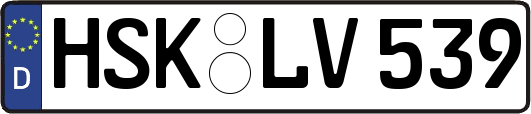 HSK-LV539
