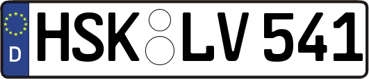 HSK-LV541