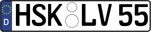 HSK-LV55
