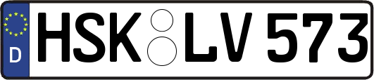 HSK-LV573