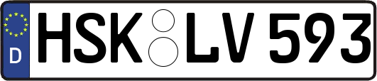 HSK-LV593