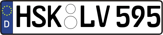 HSK-LV595