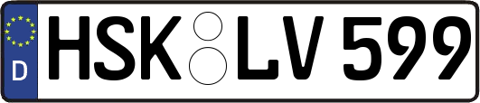 HSK-LV599
