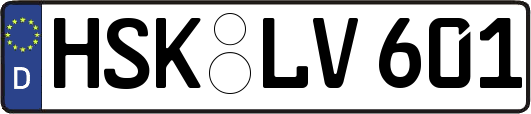 HSK-LV601