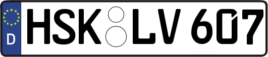 HSK-LV607