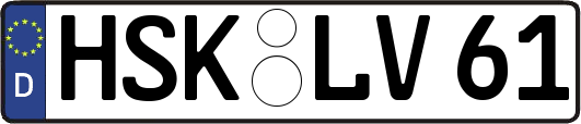 HSK-LV61