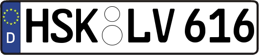HSK-LV616