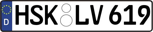 HSK-LV619