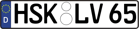 HSK-LV65