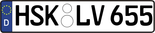 HSK-LV655
