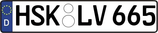 HSK-LV665