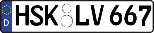 HSK-LV667