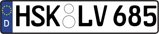 HSK-LV685