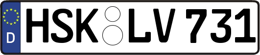 HSK-LV731