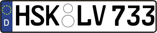 HSK-LV733