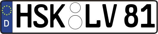 HSK-LV81