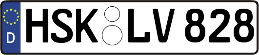 HSK-LV828