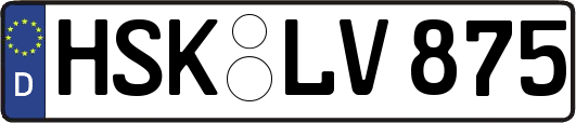 HSK-LV875