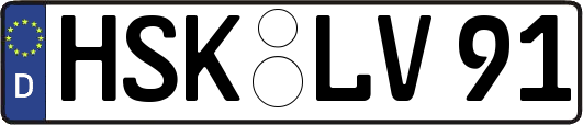 HSK-LV91