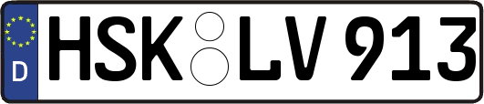 HSK-LV913