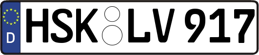 HSK-LV917