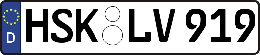 HSK-LV919
