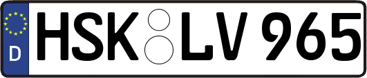 HSK-LV965