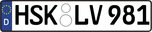 HSK-LV981