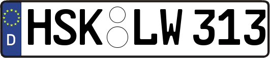 HSK-LW313