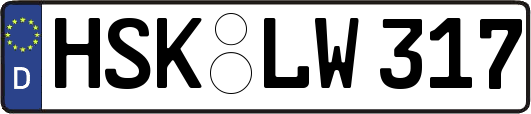 HSK-LW317