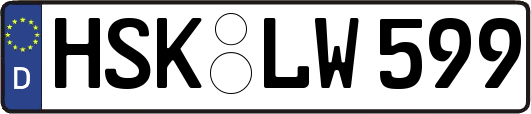 HSK-LW599