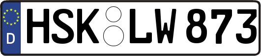 HSK-LW873