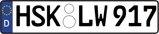 HSK-LW917