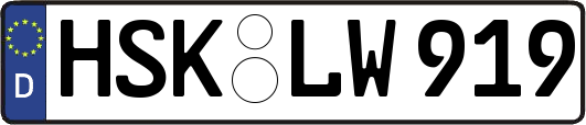 HSK-LW919
