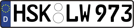 HSK-LW973