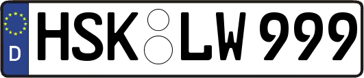 HSK-LW999