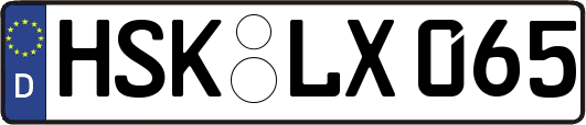HSK-LX065