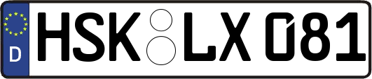 HSK-LX081