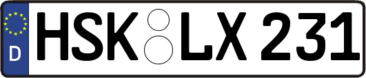 HSK-LX231