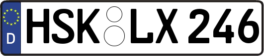 HSK-LX246